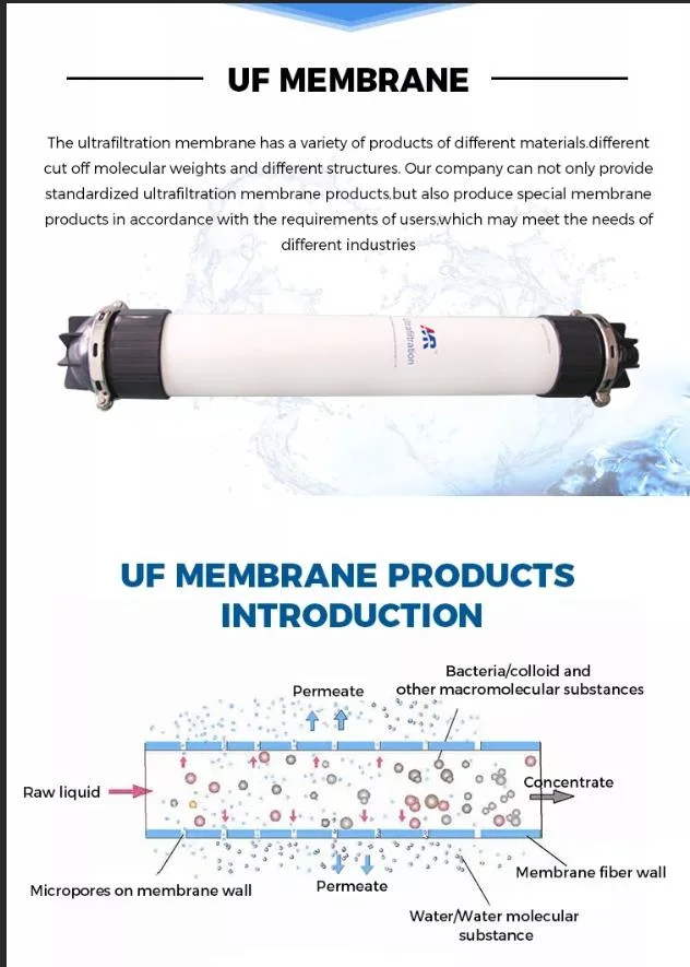 Hollow Fiber UF Membrane Filter for Waste Water Recycling with Acid and Alkali Resistance Ultrafiltration Membrane UF Filter