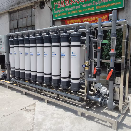 40tph Ultrafiltration Membrane UF System for Fruit / Vegetable Juice