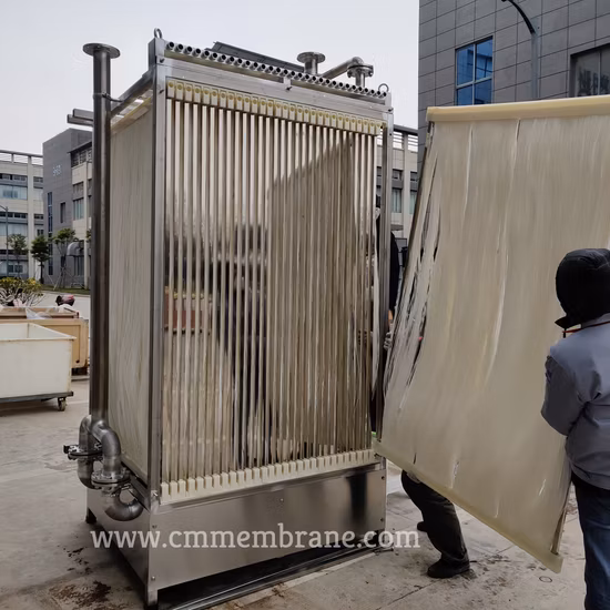 Mbr Hollow Fiber Membrane Water and Wastewater Treatment