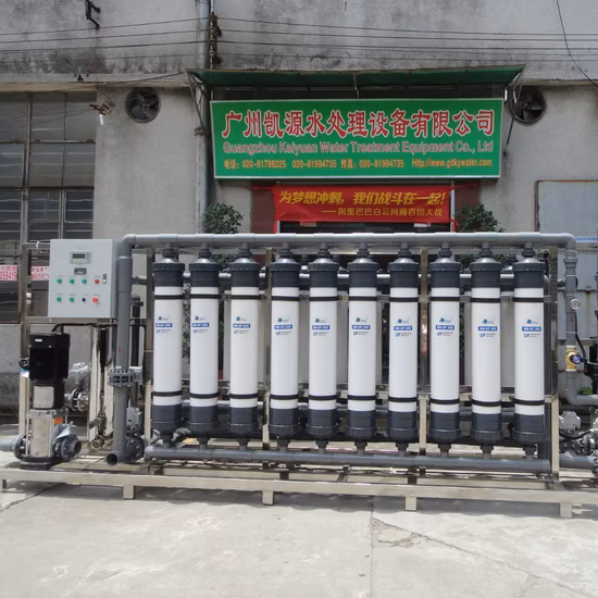40tph Ultrafiltration Membrane UF System for Fruit / Vegetable Juice