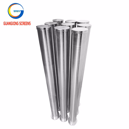 Gravity Separation Screen Wedge Wire Screen Water Filter
