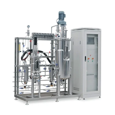 Continuous Ethanol Extraction by Pervaporation From a Membrane Bioreactor, Working Model Bioreactor